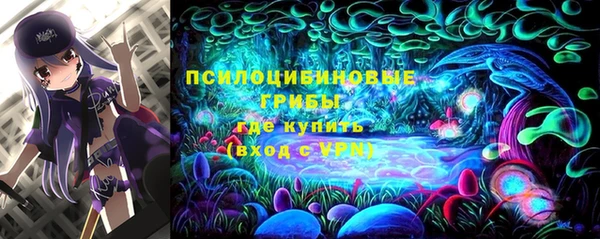 не бодяженный Алзамай