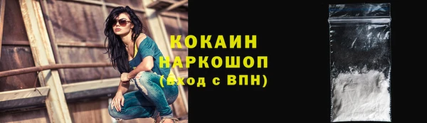 шишки Алексеевка