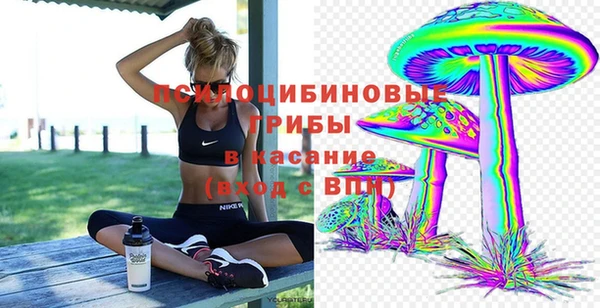 шишки Алексеевка