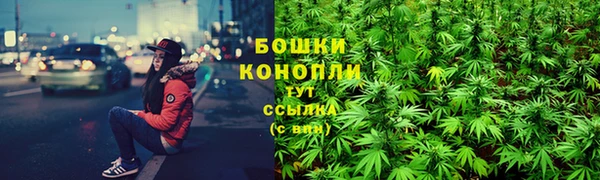 шишки Алексеевка